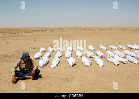 24. Mai 2003 - Al-Musayab, Irak - ein Array von Leichentuch gewickelt bleibt liegen in der Wüste in einem Massengrab in der Nähe von Al-Musayab, Irak. (Kredit-Bild: © David I. Gross/ZUMAPRESS.com) Stockfoto