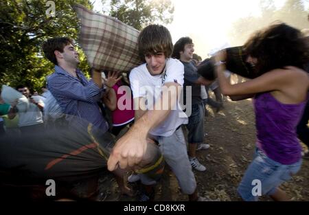 22. November 2008 - Buenos Aires, Buenos Aires, Argentinien - Teilnehmer schwingen und Ente als die Rasenfläche in einen Spielplatz Kissen während der Lucha de Almohadas oder Kissen Kampf vor dem Planetarium in Buenos Aires, Argentinien, 22. November 2008 ausbricht. Die Masse betrug schätzungsweise ca. 2, Stockfoto