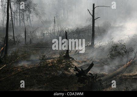 Waldbrände bedrohen mehr als 200 Dörfer in den russischen Regionen von Woronesch, Moskau, Nischni Nowgorod, Mordovia.Nearly 240.000 Menschen kämpfen die Waldbrände. Nach Angaben des Ministeriums Notfälle sind mehr als 125.000 Hektar Wald brennen. Es gibt auch 18 Torfmoor Brände, von denen 9 Stockfoto