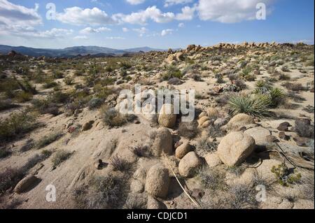 23. Februar 2011 - Joshua Tree National Park, Kalifornien, USA - ein Panorama der Wüste Sonora (Colorado), entnommen aus dem Naturlehrpfad verloren-Palmen-Oase in der Nähe von Cottonwood Springs. Joshua Tree National Park hat biologische und geologische Besonderheiten, wie die charakteristischen weißen Tank Quarz Monz Stockfoto