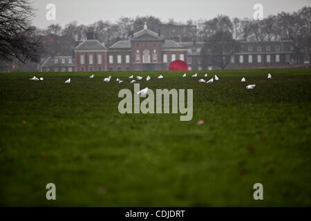 24. Februar 2011 - London, England, Vereinigtes Königreich - Sky Mirror, rot, 2007, befindet sich in Kensington Gardens runden Teich. In einer bahnbrechenden Partnerschaft präsentieren The Royal Parks und die Serpentine Gallery eine große Ausstellung, die "Turning World Upside Down" von Skulpturen unter freiem Himmel durch International acclaim Stockfoto