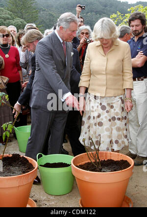 29. März 2011 - Sintra, Portugal - Prinz CHARLES, der Prinz von Wales und seine Frau CAMILLA PARKER BOWLES Pflanzen Rosen in einer Vase im Monserrate Park. Prinz Charles und seine Frau Camilla sind für einen zweitägigen Besuch in Portugal. (Kredit-Bild: © Paul Cordeiro/ZUMAPRESS.com) Stockfoto