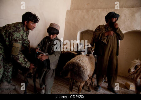 27. April 2011 - Stadt des Naw Zad, Naw Zad Bezirk prüft Helmand, Afghanistan - ANA ein Soldat von der 2. Brigade des 215. afghanische nationale Armee-Korps, 4. Kompanie, 3. Kandak eine Ziege auf dem Bazar Naw Zad im Naw Zad-Distrikt in der Provinz Helmand, Afghanistan, Mittwoch. Während die Sicherheit im Bereich hat Stockfoto