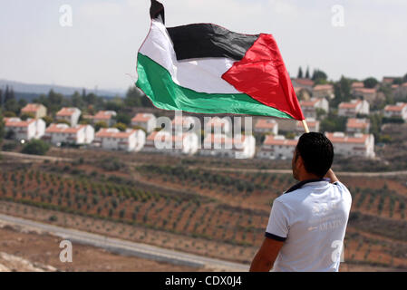 Palästinensische Jugendliche Welle ihrer Nationalflagge während einer wöchentlichen Demonstration gegen die israelische Siedlung Expansion, in das Westjordanland Dorf Nabi Saleh, am 7. Oktober 2011. Foto von Issam Rimawi Stockfoto