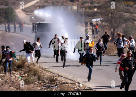 12. November 2011 - Ramallah, Westjordanland, Palästina - palästinensische Demonstranten versuchen zu vermeiden, Tränengas-Shooting durch israelische Soldaten bei Zusammenstößen zwischen israelischen Sicherheitskräften und palästinensische Demonstranten bei einer wöchentlichen Protest im Westjordanland-Dorf von Nabi Saleh, in der Nähe von Ramallah 11. November 2011 Stockfoto