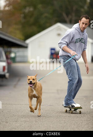 2. November 2011 - Whitmore Lake, Michigan, USA - schleppt ein ein-Jahr-alte Mischling Hund namens Daisy seine Besitzer, ALEX MAZZONNE auf seinem Skateboard.  Alex kam mit dieser Lösung nach immer während des Gehens von seinem Hund zerrte. (Kredit-Bild: © Mark Bialek/ZUMAPRESS.com) Stockfoto