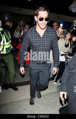 Jake Gyllenhaal kommt am LAX Flughafen auf einem Flug von Sydney, Australien. Los Angeles, Kalifornien - 08.12.10 Stockfoto