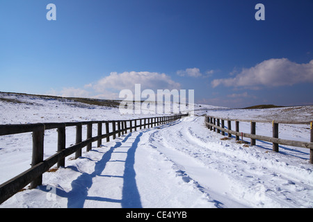 Verschneite Straße in Utsukushigahara Plateau, Nagano, japan Stockfoto