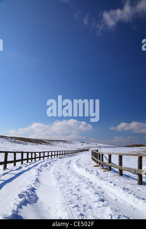 Verschneite Straße in Utsukushigahara Plateau, Nagano, japan Stockfoto