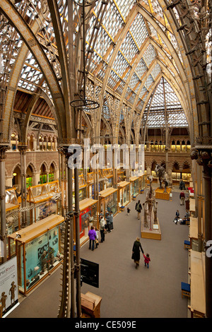 University of Natural History, Oxford, England Stockfoto