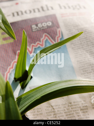 Grüne Triebe des Wirtschaftsaufschwungs Stockfoto
