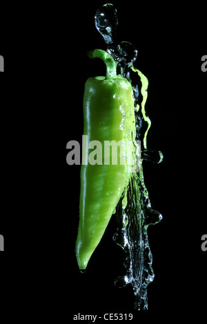 Grünem Pfeffer spritzte Wasser über schwarzen Hintergrund Stockfoto