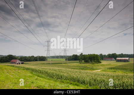 Stromleitungen, die Mitte einer Bauernhof-Landschaft Stockfoto
