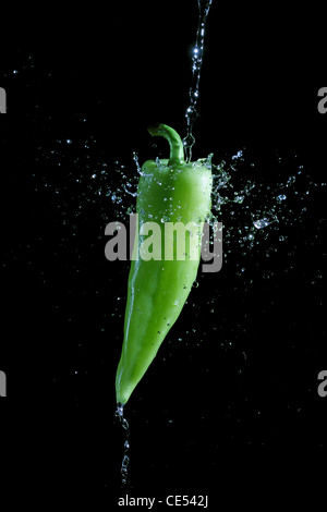 Grünem Pfeffer spritzte Wasser über schwarzen Hintergrund Stockfoto