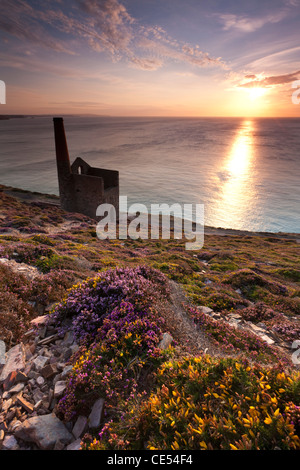 Kornische Sonnenuntergang, St. Agnes, Cornwall, England. Sommer (August) 2011. Stockfoto