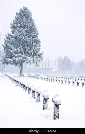 Kreuze und Bäume im WW2 Militär Friedhof mit Schnee bedeckt Stockfoto