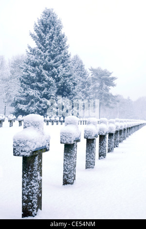 Kreuze und Bäume im WW2 Soldatenfriedhof mit Schnee bedeckt Stockfoto