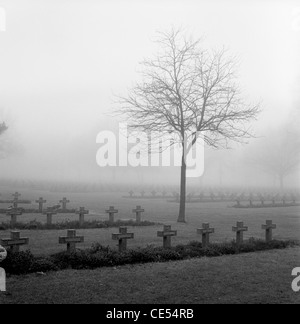 militärische Friedhof mit Reihen von kreuzen und Bäume im Herbst Nebel Monochrom Filmkorn Stockfoto