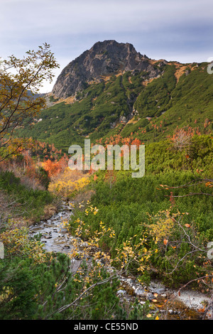 Herbst in den Bergen der hohen Tatra, Slowakei, Europa. Herbst (Oktober) 2011. Stockfoto