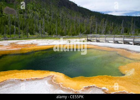 Emerald Pool im Black Sand-Becken im Yellowstone-Nationalpark, Wyoming, USA. Stockfoto