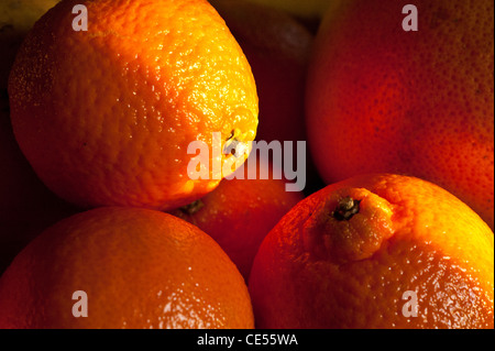 Clementine Orangen mit frühen Morgen Sonnenschein, Essen Stockfoto