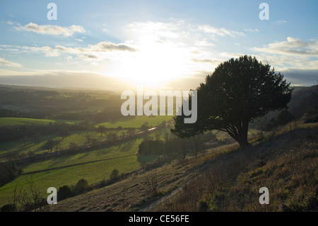 Blick über Dorking aus Ranmore gemeinsamen, Surrey Stockfoto