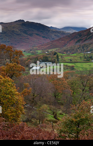 Ferienhäuser in kleinen Langdale Valley, Lake District, Cumbria, England. Herbst (November) 2011. Stockfoto