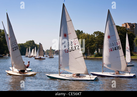 Tamesis Club Laser Jolle Segeln an einem klaren Sommertag auf der Themse zwischen Kingston Bridge und Teddington Lock. Stockfoto