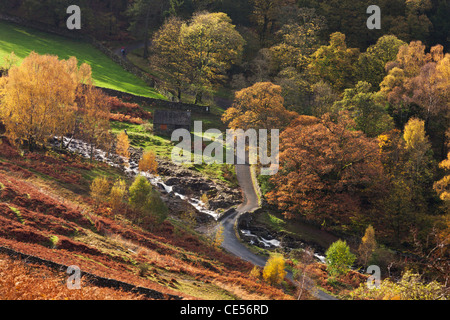 Landstraße überfahren Barrow Beck auf Ashness Brücke, Lake District, Cumbria, England. Herbst (November) 2011. Stockfoto