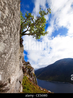 Mourne Mountains, Co. Down, Nordirland Stockfoto