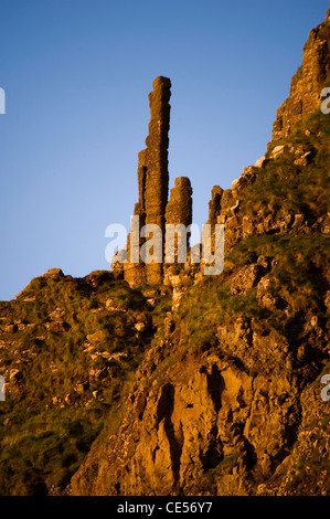 Das UNESCO-Weltkulturerbe Giants Causeway, North Coast, County Antrim, Nordirland Stockfoto