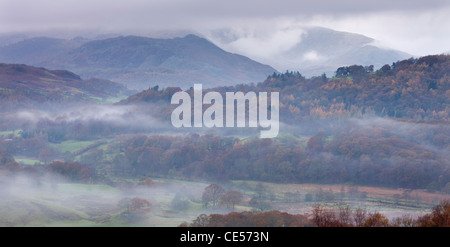 Nebel lauert im Brathay Tal in der Nähe von Elterwater, Nationalpark Lake District, Cumbria, England. Herbst (November) 2011. Stockfoto