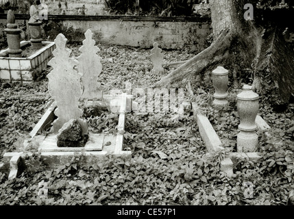 Reisen Fotografie - Kampong Glam Friedhof in Kampong Glam arabischen Viertel in Singapur in Südostasien im Fernen Osten. Stille Gelassenheit Stockfoto