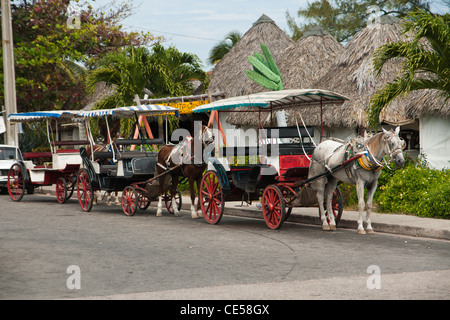 Varadero, Matanzas-Kuba Stockfoto