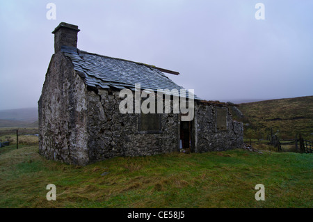 Alten verlassenen Bauernhof in Yorkshire Dales Stockfoto