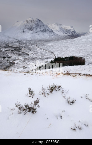 Blick vom Stob Beinn ein Chrulaiste über verschneite Glencoe gegenüber Buachaille Etive Beag und Beinn Fhada und die drei Schwestern Stockfoto