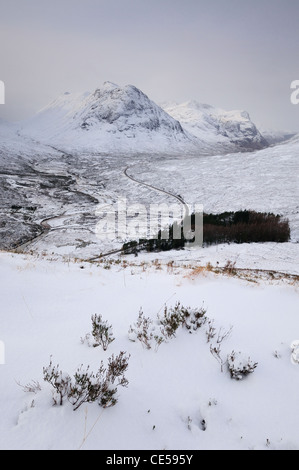 Blick vom Stob Beinn ein Chrulaiste über verschneite Glencoe gegenüber Buachaille Etive Beag und Beinn Fhada und die drei Schwestern Stockfoto