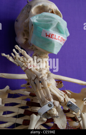 Menschliche Skeleton.Original menschliches Skelett begrüßen dekoriert von Medizinstudenten für medizinische Ausstellung in Govt Medical College Stockfoto