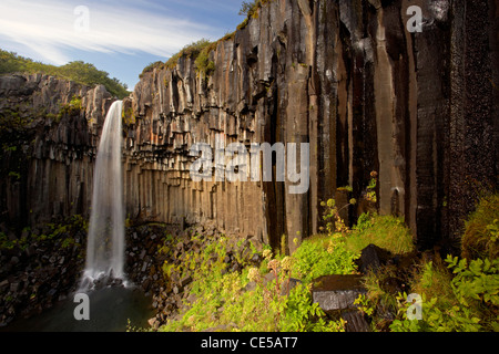 Die Basaltsäulen am Svartifoss verliebt sich in Island Stockfoto