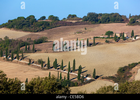 Landschaft in der Nähe von Sant'Albino, Provinz Siena, Toskana, Italien, Europa Stockfoto