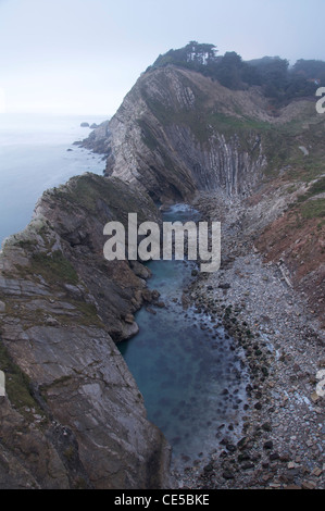 Blick von der Klippe in Stair Hole. Die geneigten Gesteinsschichten des "Lulworth Crumple" ist deutlich erkennbar. Jurassic Coast, Dorset, England, UK. Stockfoto