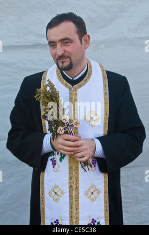 Griechische orthodoxe Priester beteiligt sich an der taufen Ritual während der Epiphanie am Qaser el Yahud, Israel im 18. Januar 2012 Stockfoto