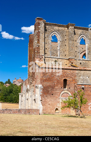 Ruinen der Zisterzienser Abtei San Galgano, Chiusdino, Toskana, Italien, Europa Stockfoto