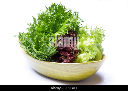 Verschiedene Salate (Lactuca Sativa) auf weißem Hintergrund Stockfoto
