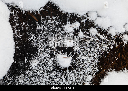 Schnee und Raureif auf der Oberfläche eines Teiches. Washington, USA. Stockfoto