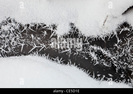 Schnee und Raureif auf der Oberfläche eines Teiches. Washington, USA. Stockfoto