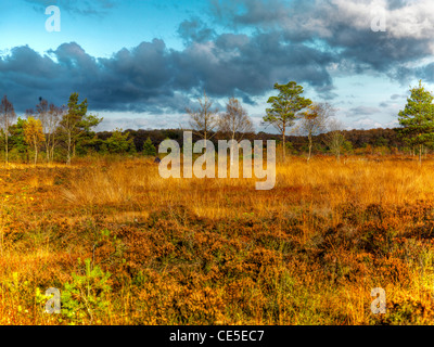 Moore Park, Grafschaft Tyrone, Nordirland Stockfoto