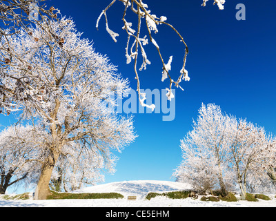 Navan Fort, Co. Armagh, Nordirland Stockfoto