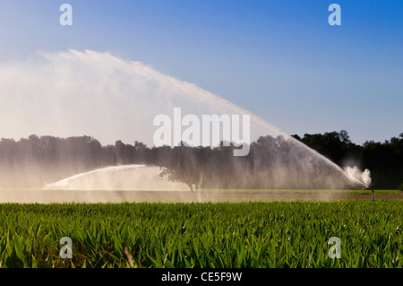 Bewässerung der Maisfeld in Centre, Auvergne, Frankreich Stockfoto