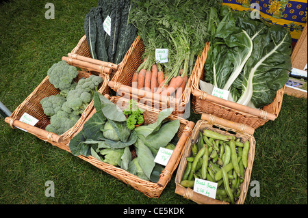 Auswahl an Gemüse wie Karotten, Bohnen, Brokkoli, Kohl, Cale, Mangold - zum Verkauf an das Ludlow Food festival Stockfoto